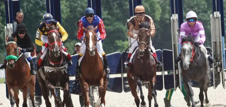 Parimutuel Betting on Horse Racing