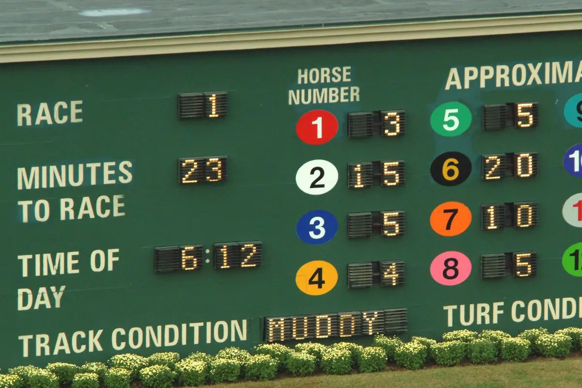 Parimutuel Betting - What is Parimutuel Betting & How It Works