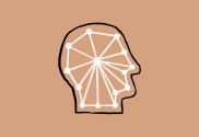 a hand drawing of a head with a web of interlinking white lines inside on a peach coloured background
