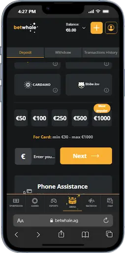 Best Visa Casinos