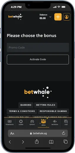 Best Visa Casinos