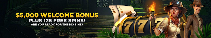 Wild Casino $5,000 Welcome Offer image