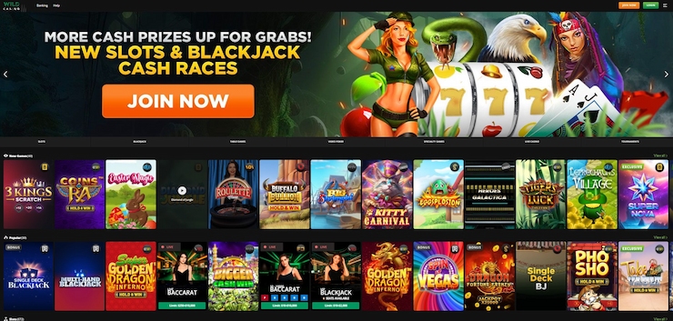 Wild Casino Slots and Blackjack Cash Races