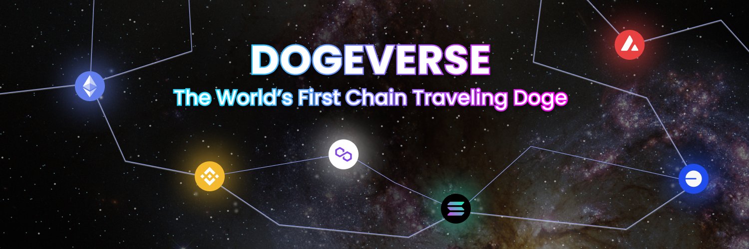 banner of dogeverse multi-chain coin