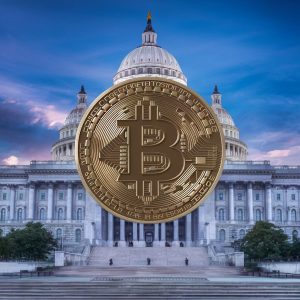bitcoin sold by government