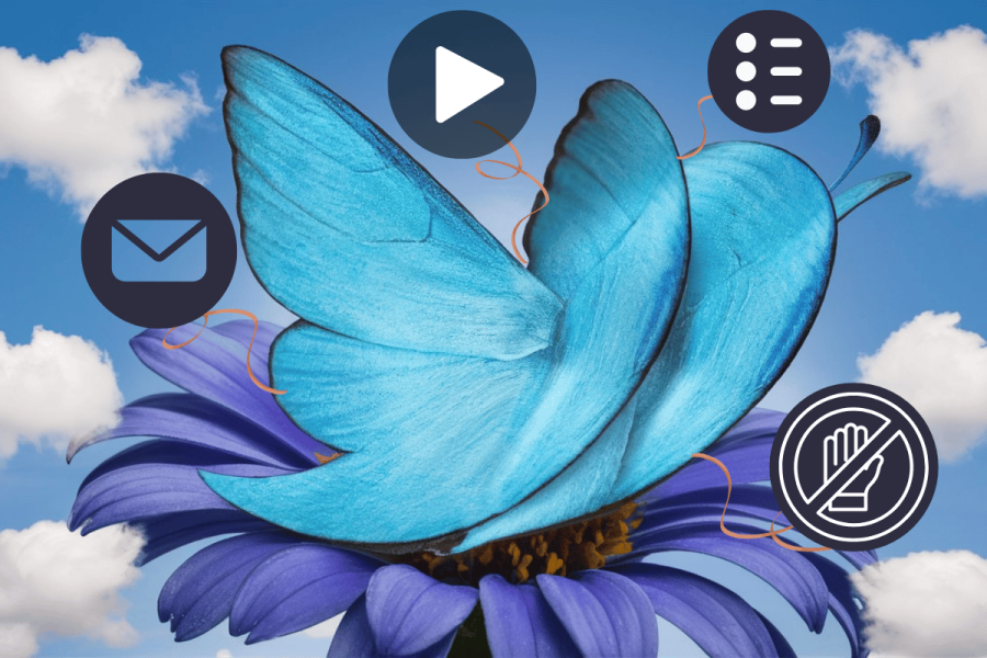 Bluesky to Introduce DMs, Video, and Enhanced Custom Feeds. The image shows a vibrant blue butterfly morphing into a Twitter bird against a cloudy sky background, overlaid with various icons symbolizing new features of a social media app. These icons include a play button representing video sharing, a message envelope for direct messaging, a three-bar menu for custom feeds, and a prohibition sign, likely indicating anti-harassment tools. The arrangement suggests these are new or upcoming features for the app.