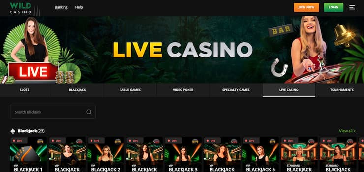 Wild Casino Online Casino in Kansas