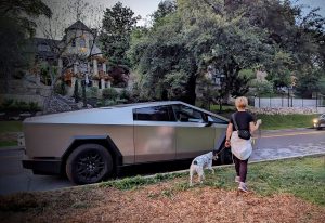 Tesla Cybertruck parked on road, with woman and dog walking next to it