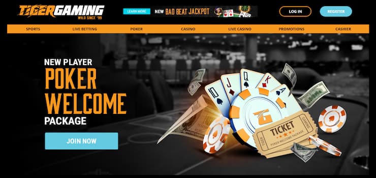 Play Online Poker in Singapore At Tiger Gaming