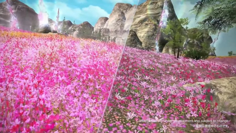 uma comparação lado a lado da atualização gráfica em Dawntrail mostrando flores mais exuberantes de um lado e flores mais planas do outro.