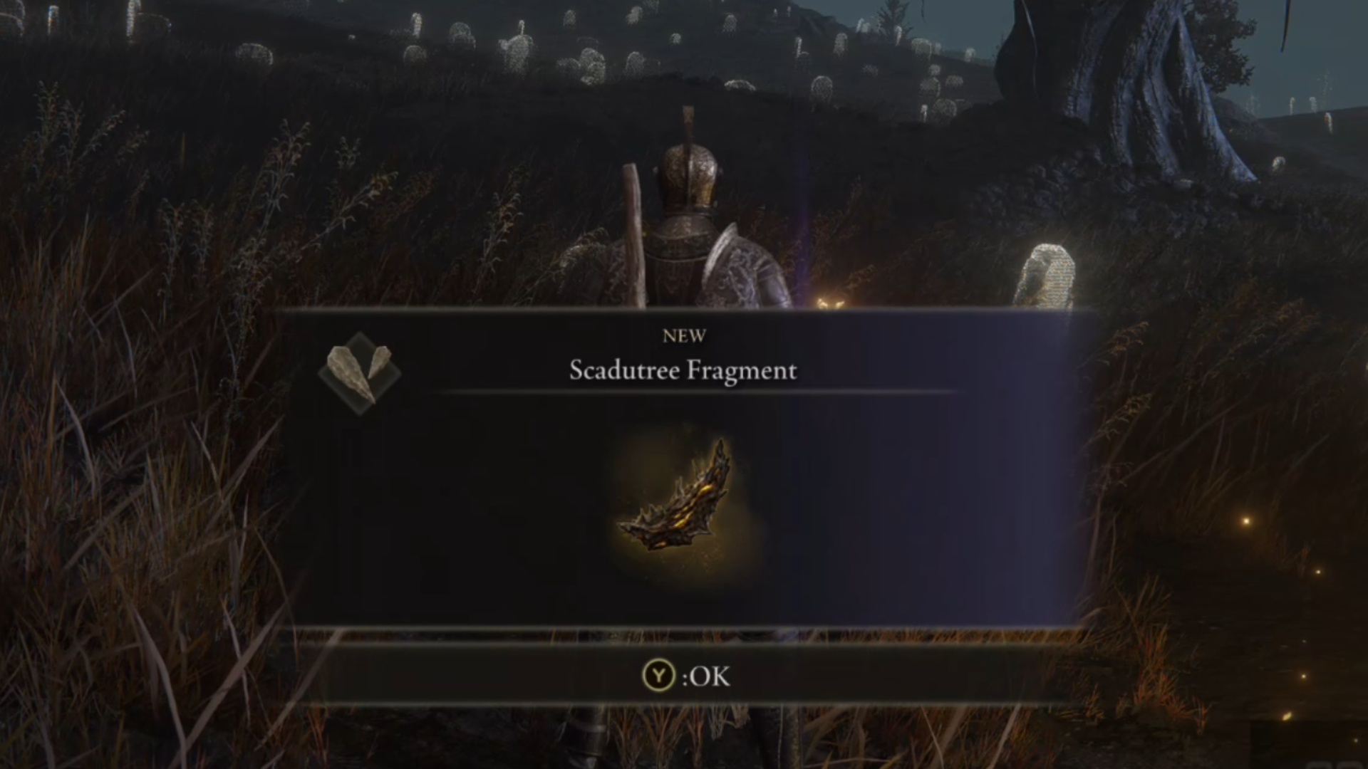 Read more about the article How to get Scadutree Fragments in Elden Ring: Shadow of the Erdtree