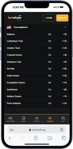 Step 1 - Visit the BetWhale US Racebook