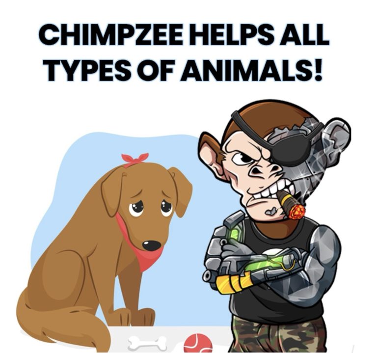 Chimpzee Helps all types of animals