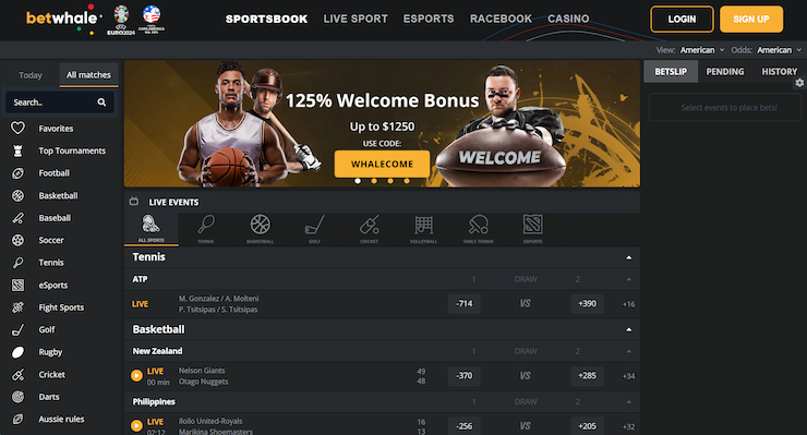 A snapshot of the BetWhale sportsbook