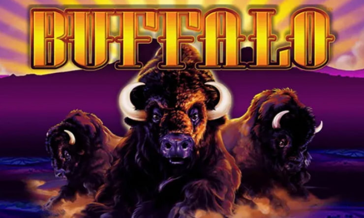 Buffalo Slot Game in the US