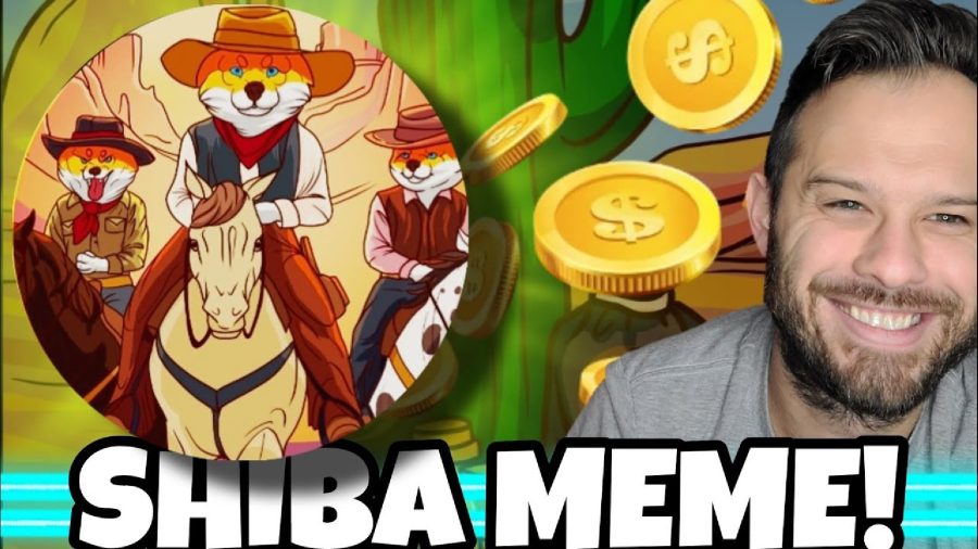ClayBro Reviews New Shiba InunAlternatives Offering High Staking Rewards