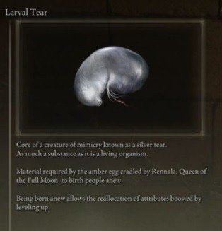 A picture of a larval tear in Elden Ring, it's a silvery grey kidney shaped item