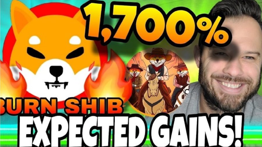 Forbes Predicts a Bullish 1700% Shiba Inu Price Rally – Could the SHIBASHOOT Token Be Next to Explode Upon Launch?
