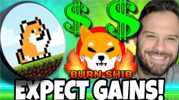 Former Goldman Sachs Analyst Predicts New Profitable Cycle for Meme Coins - Shiba Inu and PlayDoge Are Experts' Top Picks
