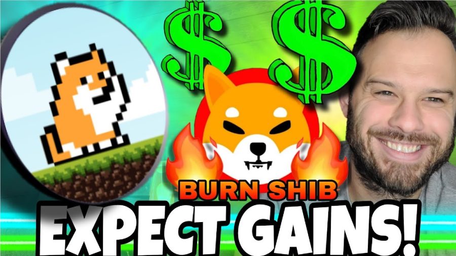 Former Goldman Sachs Analyst Predicts New Profitable Cycle for Meme Coins – Shiba Inu and PlayDoge Are Experts’ Top Picks