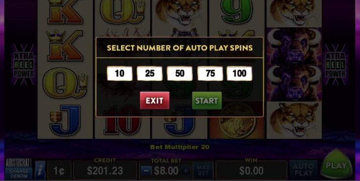 Step 3: Start Spinning