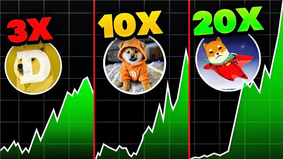 Best Dog Coins to Buy Now - Is Base Dawgz the Next to Explode?