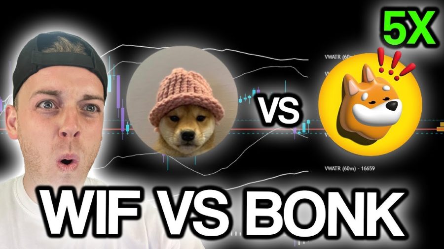 $WIF and $BONK Prices Plummet - Opportunity to Buy the Dip or Time to Explore Alternative Meme Coins Like $PEPU?