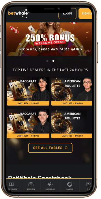 Betwhale Live Roulette
