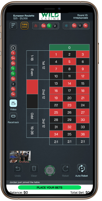 Wild Casino Live Roulette Game
