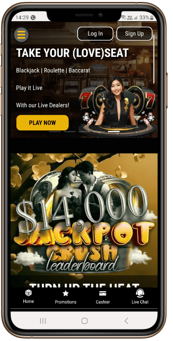 Live Games at Black Lotus