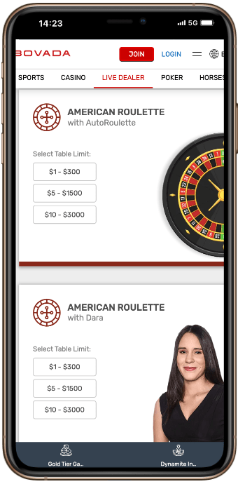 Bovada Live Roulette 