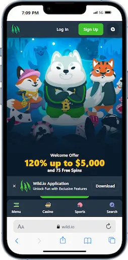 Best Evolution Gaming Casinos