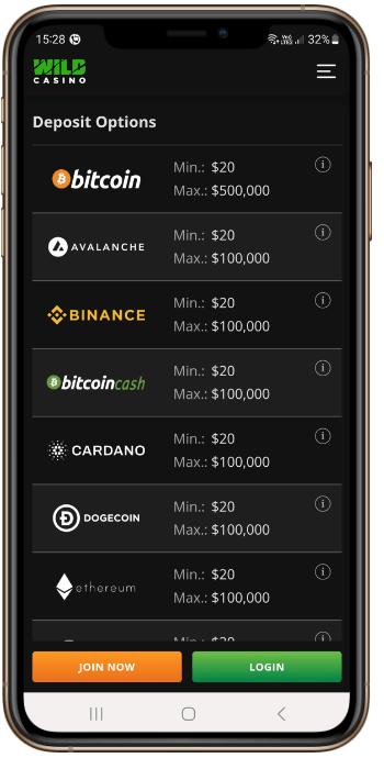 Wild Casino Deposit Methods
