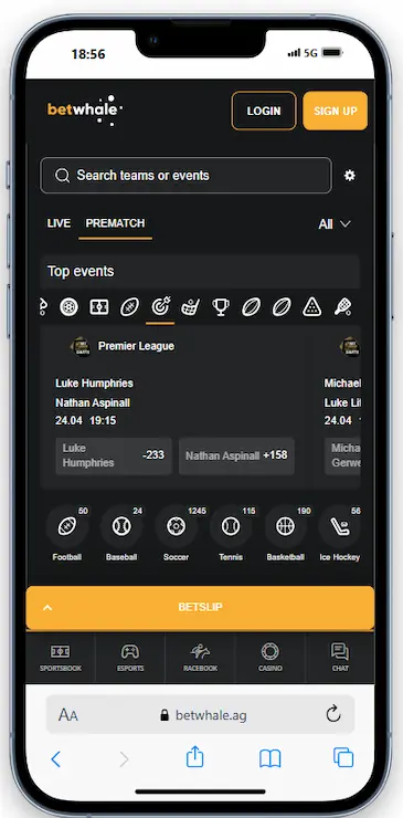 Betting On Darts At BetWhale