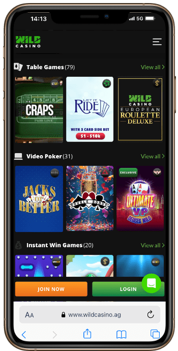 Wild Casino Games Online