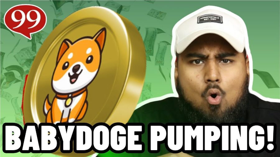 Baby Doge Coin Soars After Binance Listing – Should You Invest?