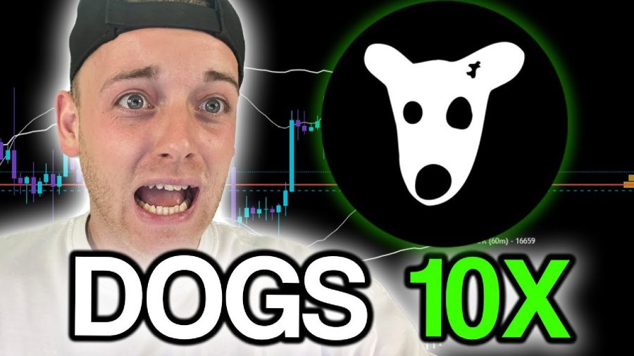 Could $DOGS Bounce Back Soon? New Meme Coin Crypto Casino Pulls in $300K During Presale