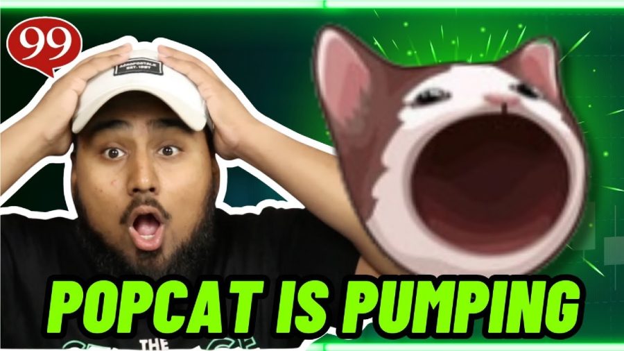 Popcat Pumps to New All-Time High, Surpassing $1B Market Cap – Should You Buy and Hold?