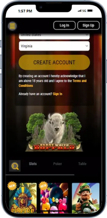 Bovada Alternatives
