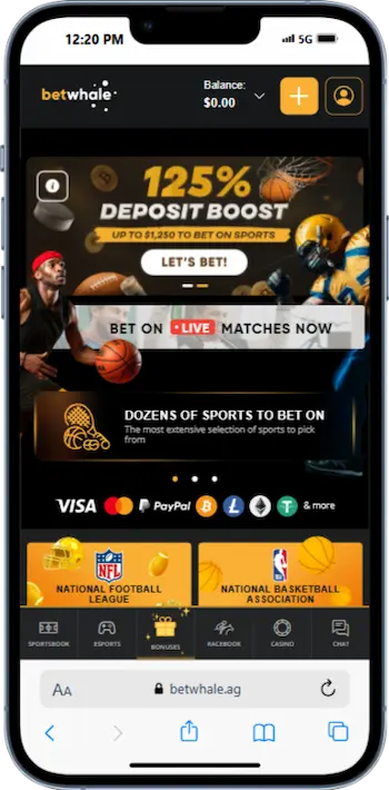 Bovada Alternatives