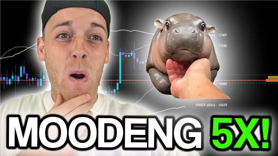 Top Gainer Solana Meme Coin Moo Deng Poised for 5x October Rally