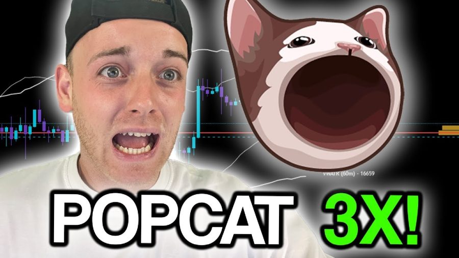 Popcat (SOL) Maintains $1 Billion Market Cap as New Vote-to-Earn Crypto Frenzy Heats Up