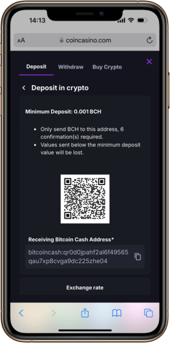 Enter Your Wallet Address