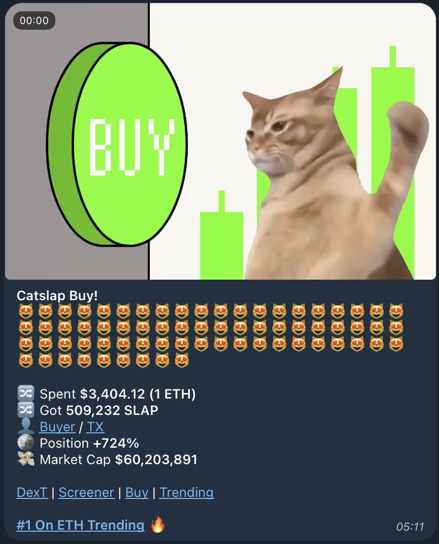 catslap on telegram