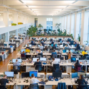 A photo of a massive office filled with people working at their desks. The office has a modern design with a mix of open spaces and private rooms. There are plants scattered throughout the office. The walls are white, and there are large windows letting in natural light. The floors are hardwood.