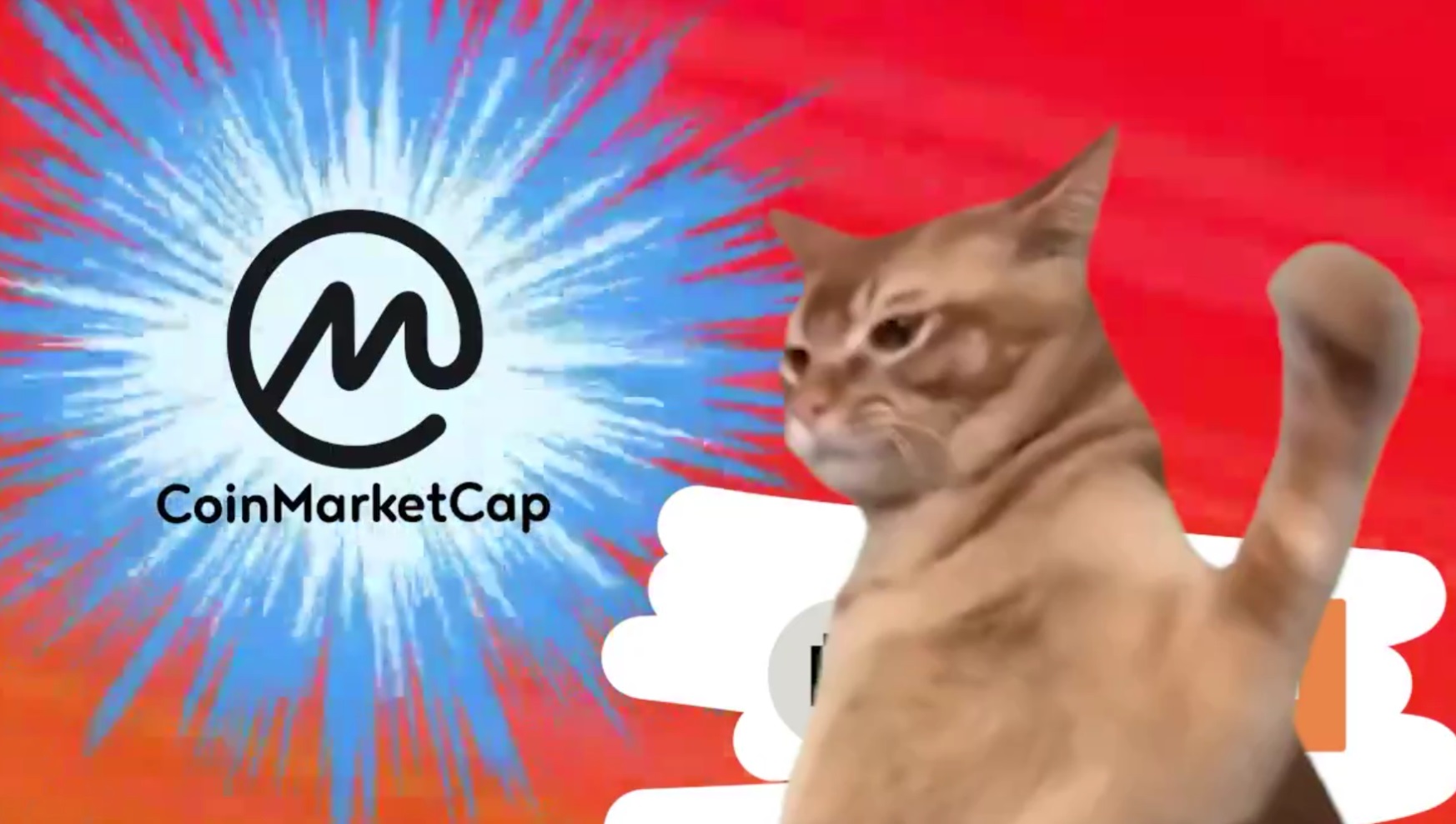 Catslap Twitter Post
