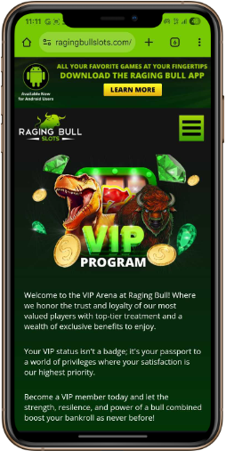 Raging Bull VIP review
