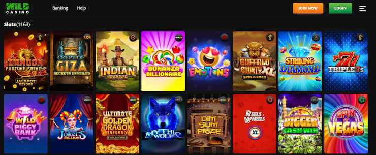 Wild Casino Slots