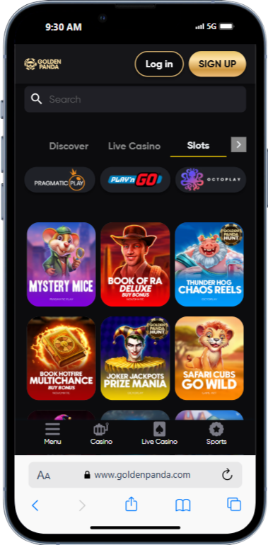 international-online-casino slots