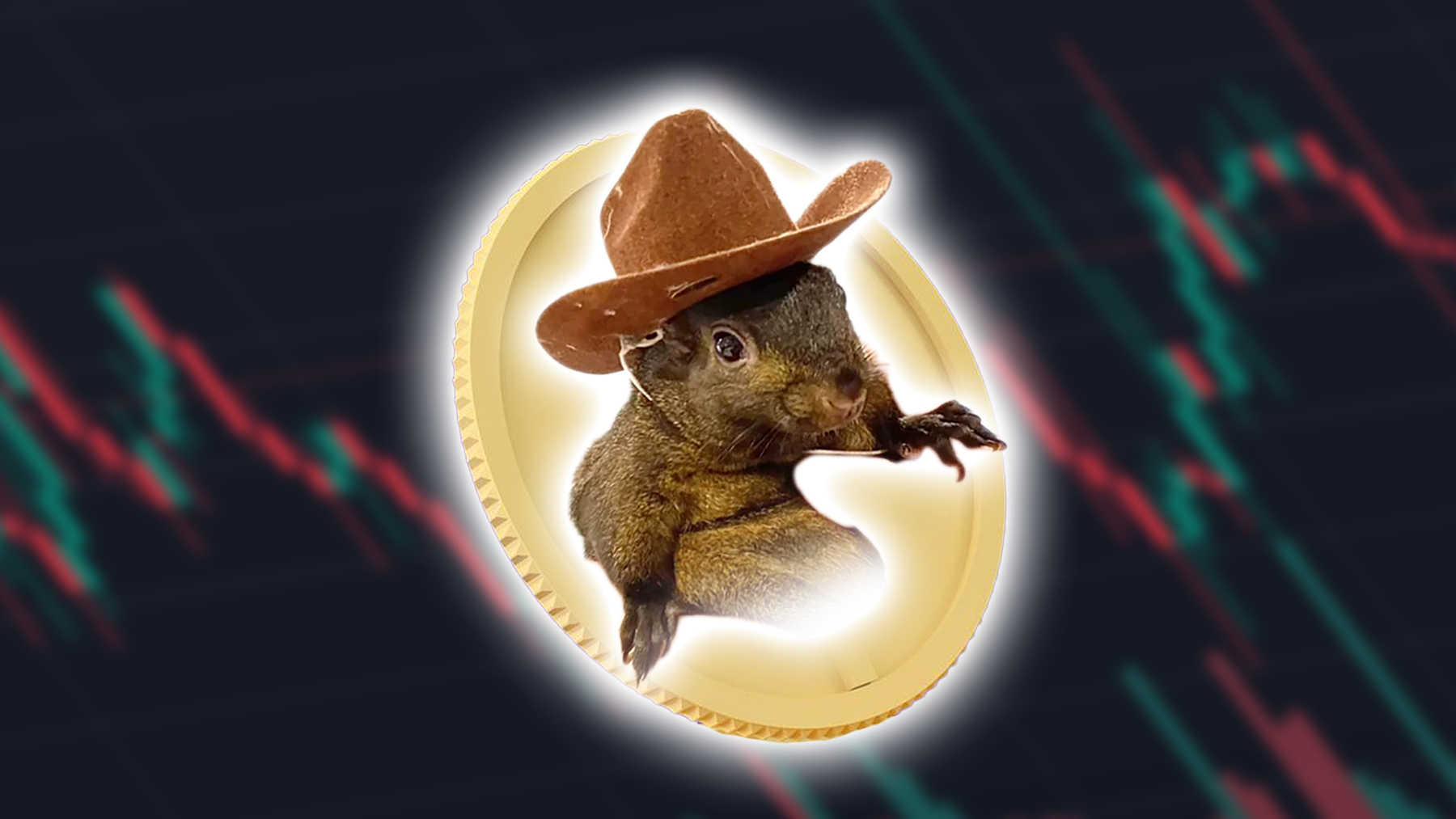 Peanut the Squirrel drives millions thrown at crypto meme coins